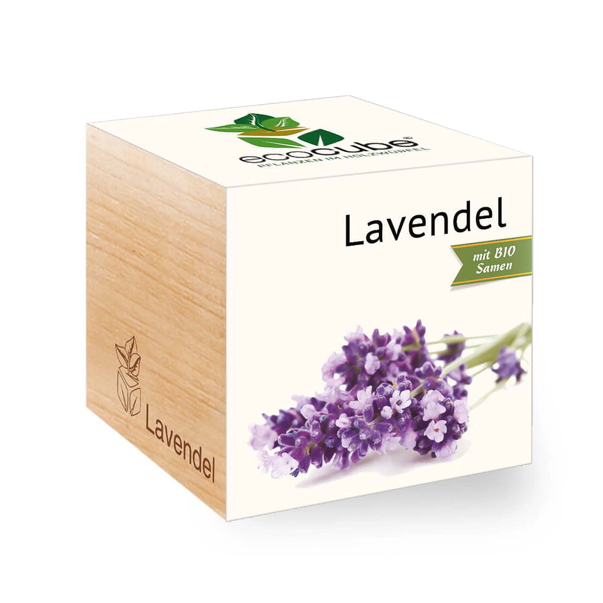 Ecocube Lavendel