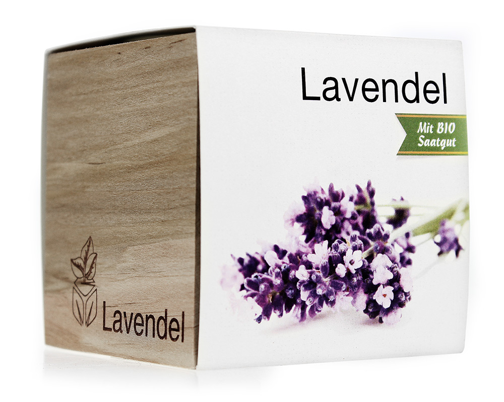 Ecocube Lavendel 2436 - 4