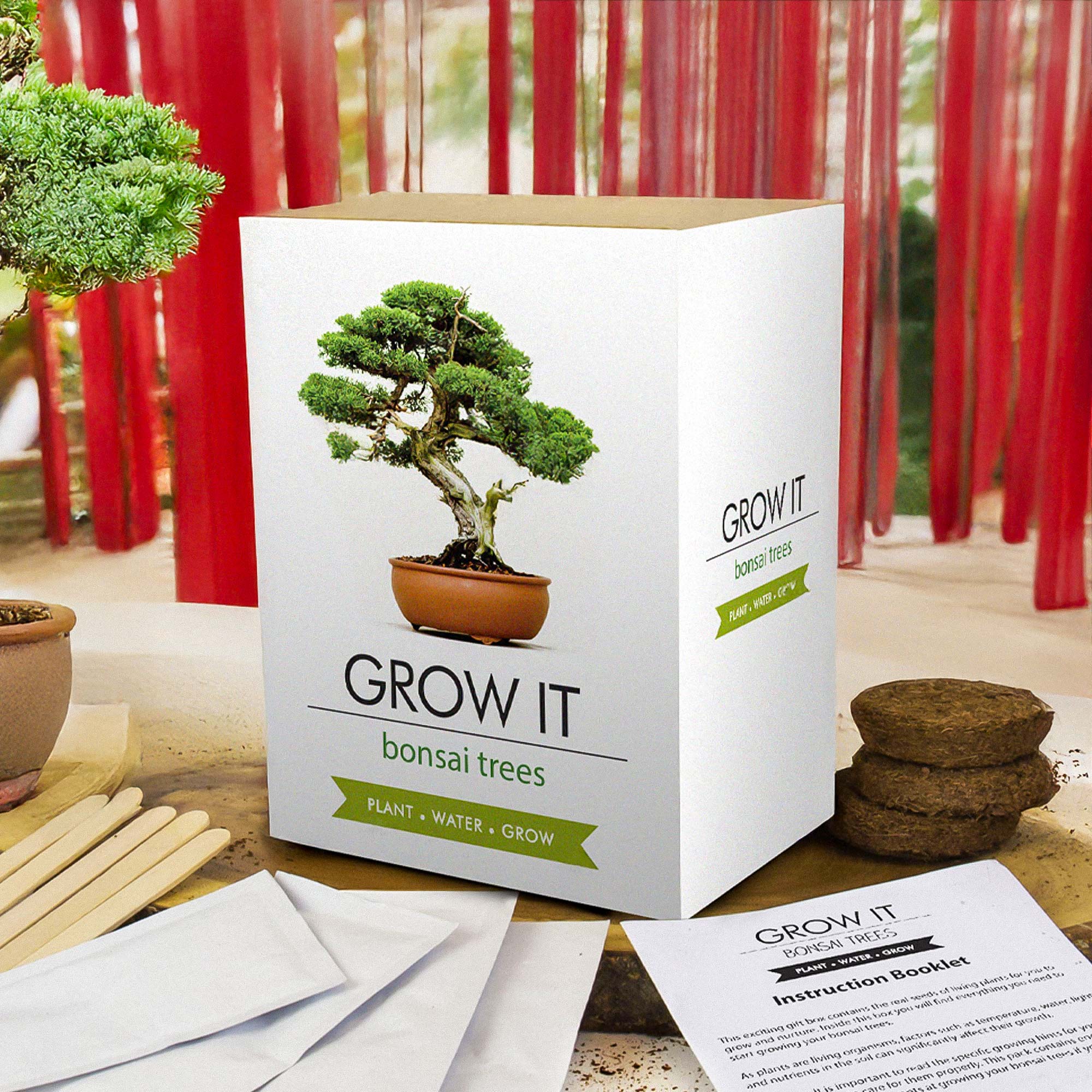 Bonsai Baum Set - Selber pflanzen