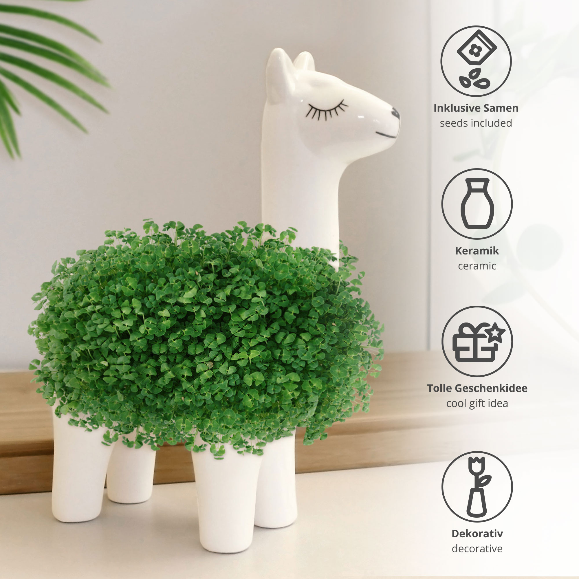 Green Lama Pflanztier - Chia Samen Pflanzgefäß