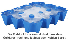 Bierkühler - Eisblockform für Bierkisten - 0,5 l Flaschen 1089 - 3