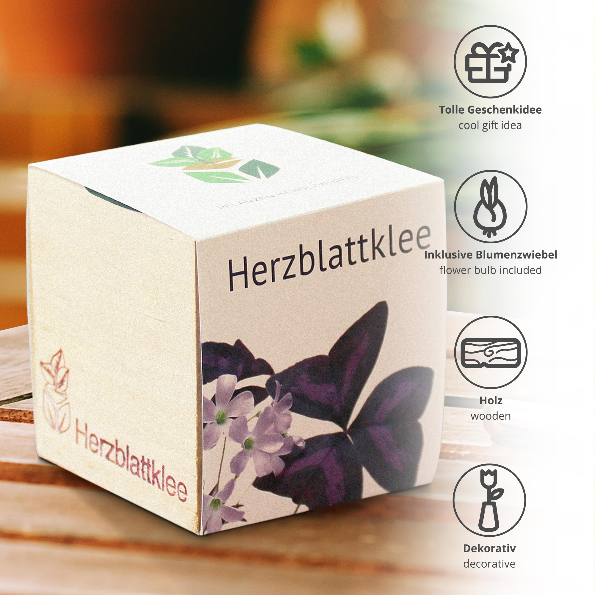 Ecocube Herzblattklee 2193-MZ - 3