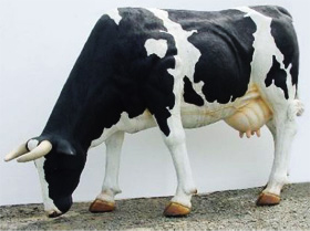 Kuh lebensgroß - coole Garten Deko 1080 - 4