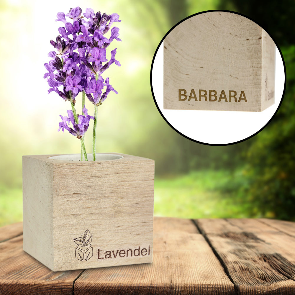 Ecocube Lavendel 2436 - 5