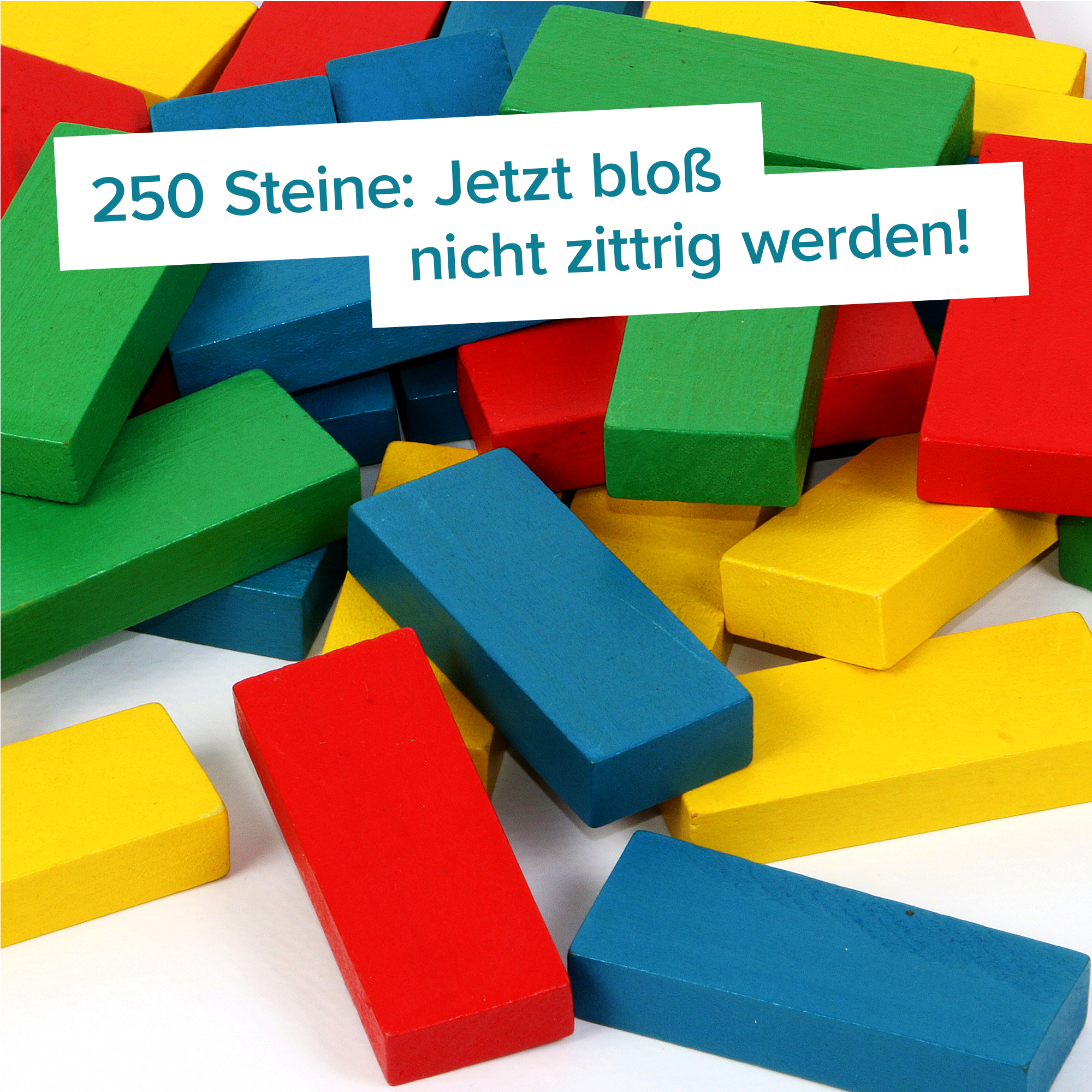 Holz Bausteine - 263-teilig 4052 - 7