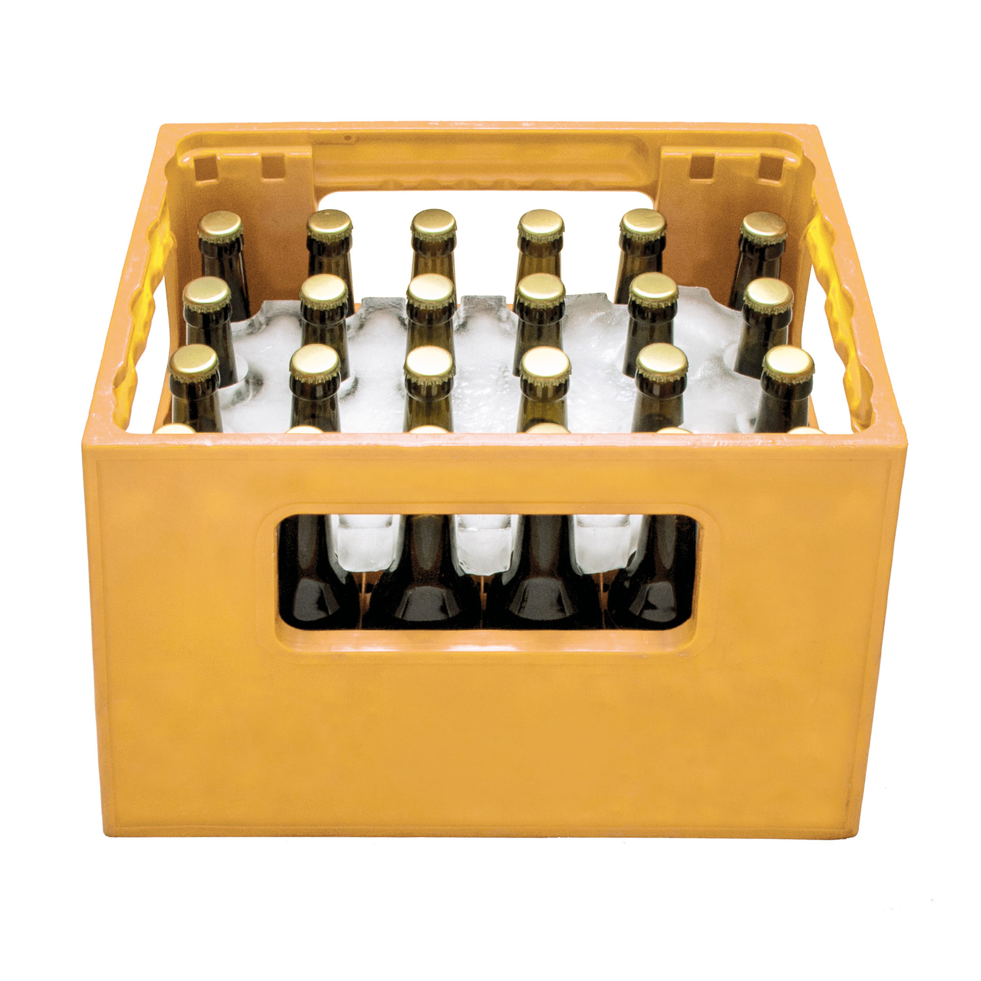 Bierkühler - Eisblockform für Bierkisten - 0,33 l Flaschen