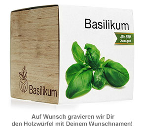 Ecocube Basilikum 2437 - 2