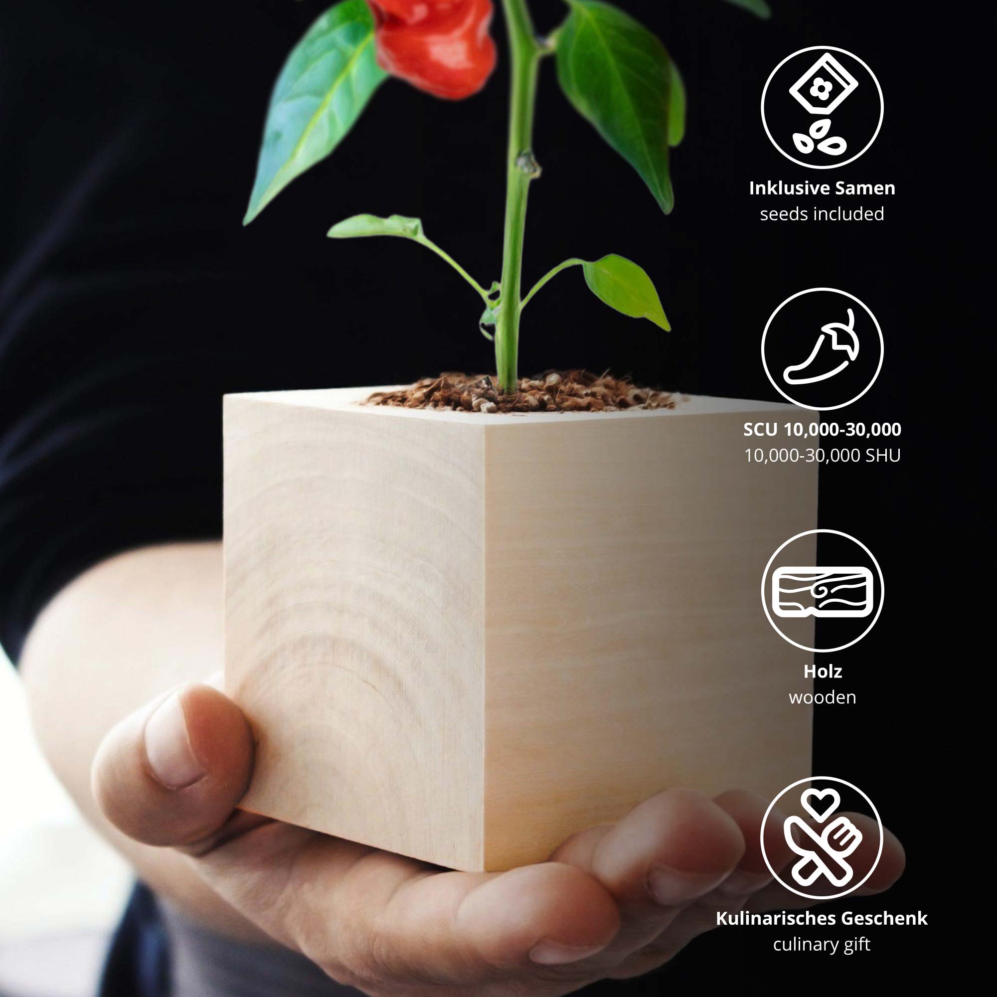 Ecocube Chili Willy Ecocube Chili Willy