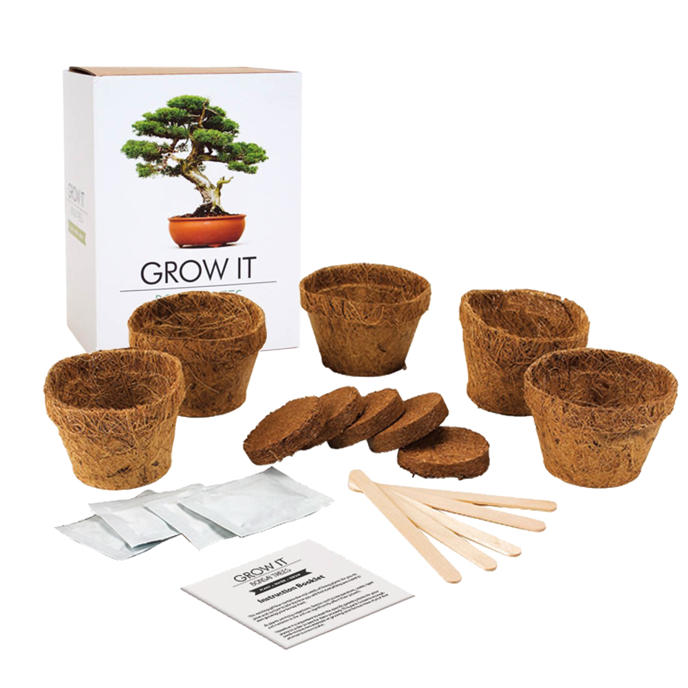 Bonsai Baum Set - Selber pflanzen 3140 - 4