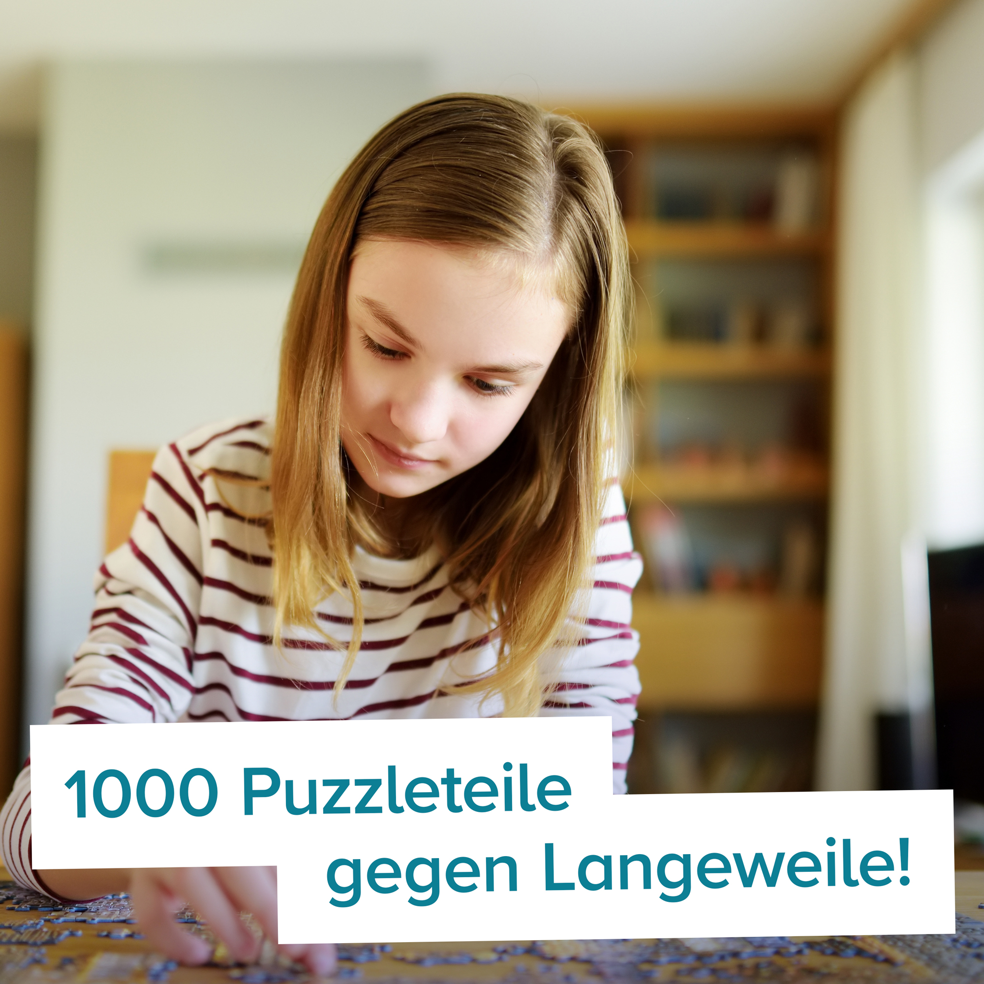 Boxer Puzzle - 1000 Teile 4130 - 1