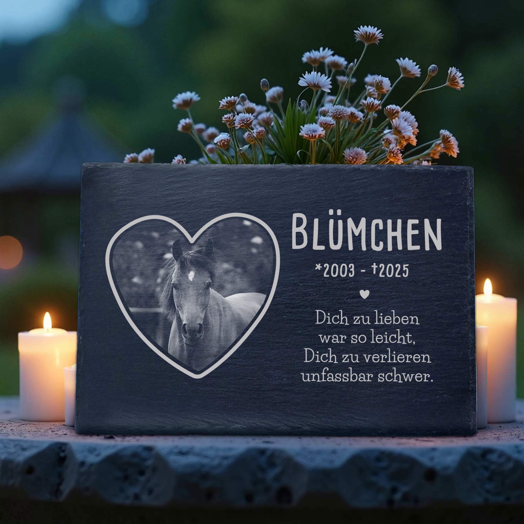 Grabplatte zur Trauer Haustier - Schiefer Gedenktafel mit Foto